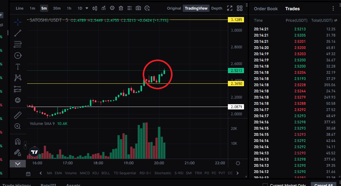 Bitcoin-Runes-Satoshi-Nakamoto-Price-Prediction