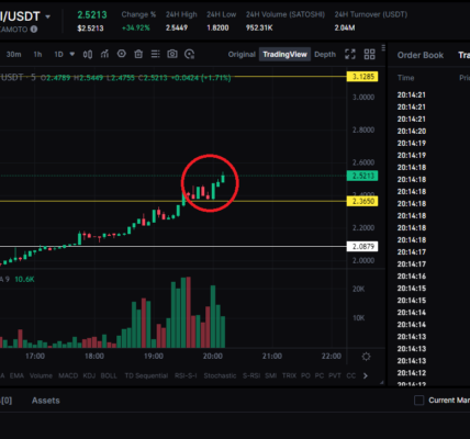 Bitcoin-Runes-Satoshi-Nakamoto-Price-Prediction