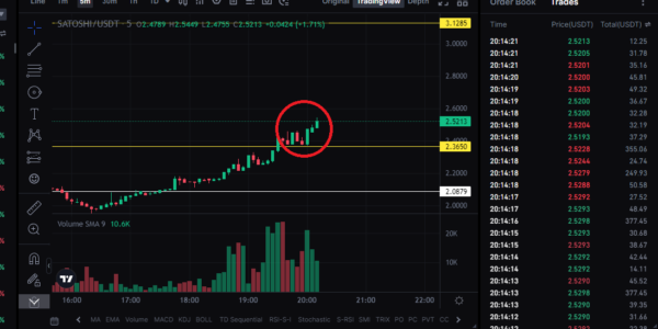 Bitcoin-Runes-Satoshi-Nakamoto-Price-Prediction