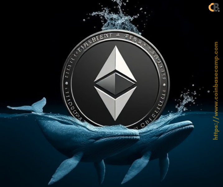 ethereum-100whales