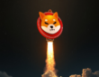 shiba-inu-rocket-alltimehigh