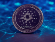 CARDANO.