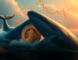 btc-whales