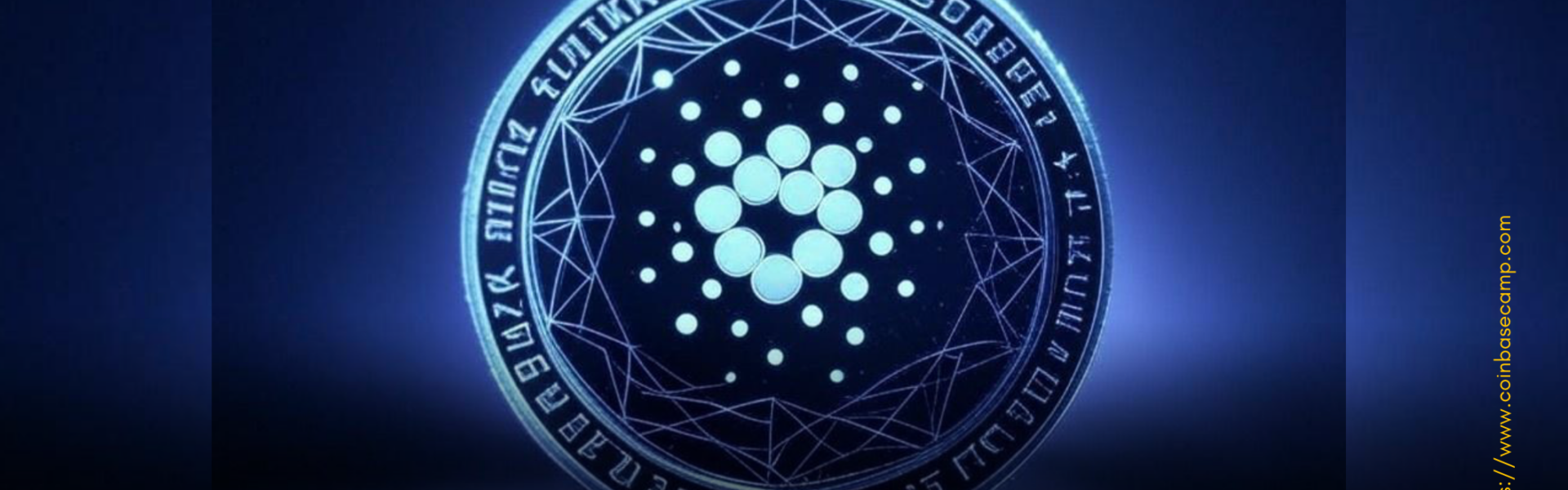 cardano-surging