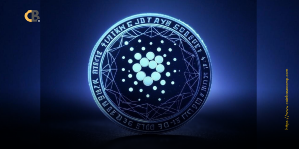 cardano-surging