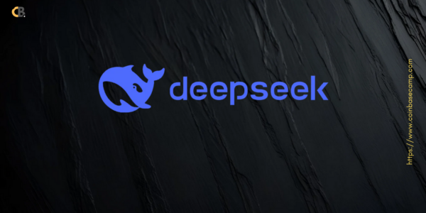 deepseek-ai-crytp-impacts