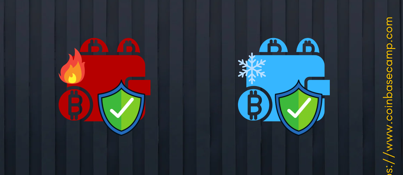 hot-vs-cold wallets