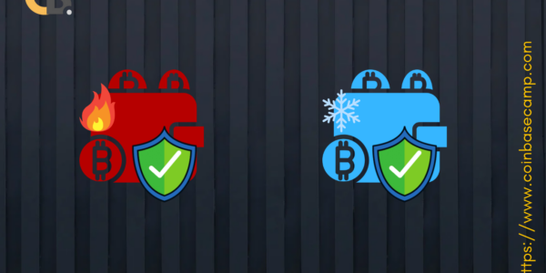 hot-vs-cold wallets