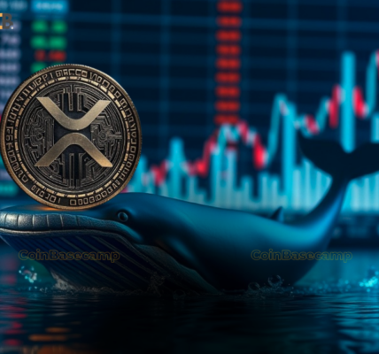 xrp-whale-up