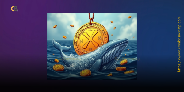 xrp-whales-buys-120 million