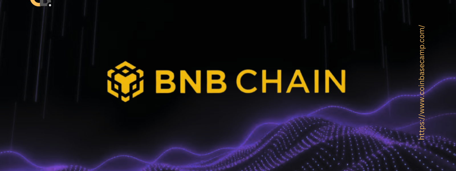 BNB CHAIN