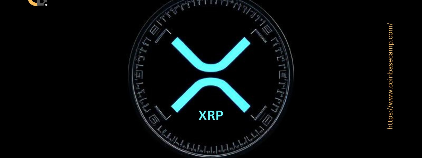 XRP $320