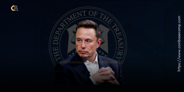 elon musk DOGE treasury