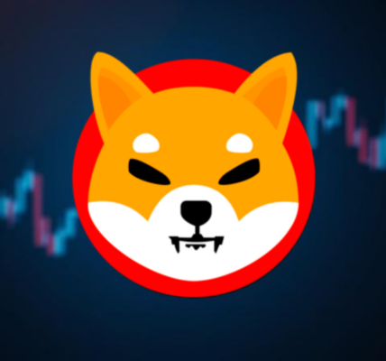 Shiba Inu Shocker
